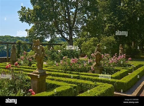 Rose garden in the castle garden in Rothenburg ob der Tauber, Bavaria ...