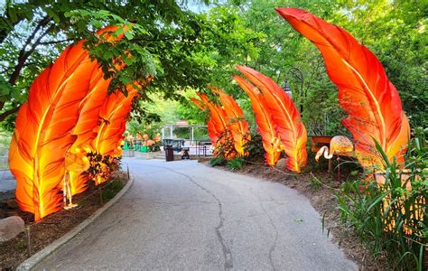 Photo Gallery Friday: John Ball Zoo Lantern Festival 2023 - Travel the Mitten