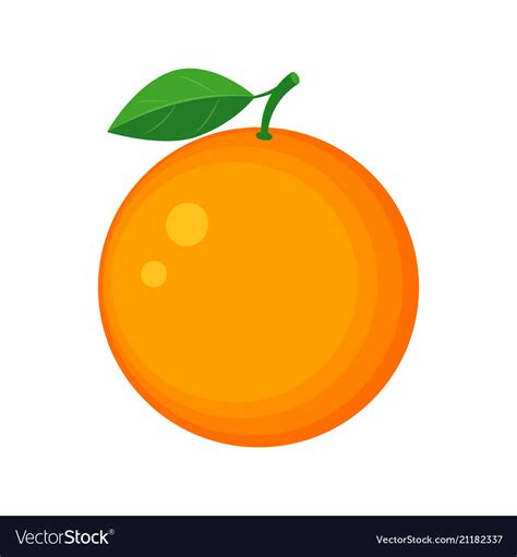 Colorful juicy orange fruit Royalty Free Vector Image