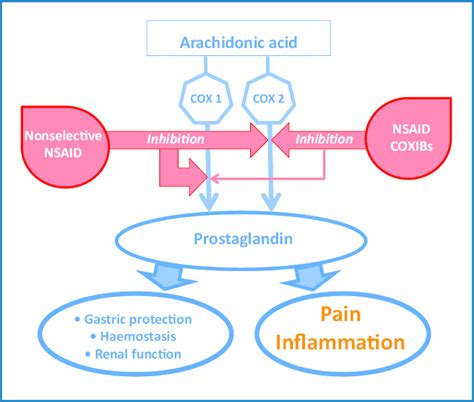 Mechanism of action of selective and non-selective NSAID used... | Download Scientific Diagram