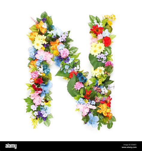 Letter N Flowers High Resolution Stock Photography and Images - Alamy