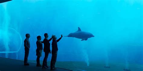 Aquarium Genua, Genua - Tickets & Eintrittskarten | GetYourGuide