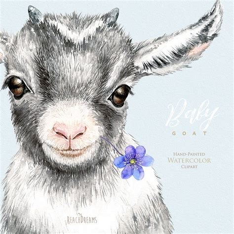 Baby Goat, Watercolor Clipart, Nursery Art, Little Animals, Baby-shower ...