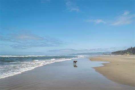 Seaside Oregon Camping: Vacations 2022