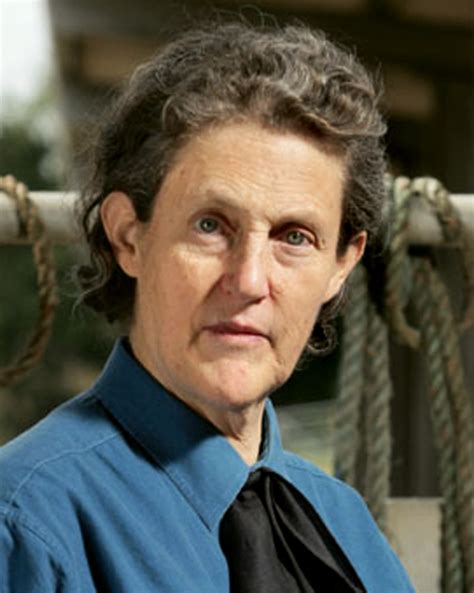 Temple Grandin is a doctor of animal science, a professor at Colorado ...