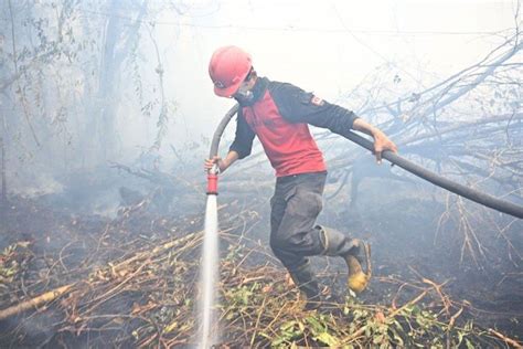 Haze from Indonesia forest fires blankets Visayas, Mindanao | Philstar.com