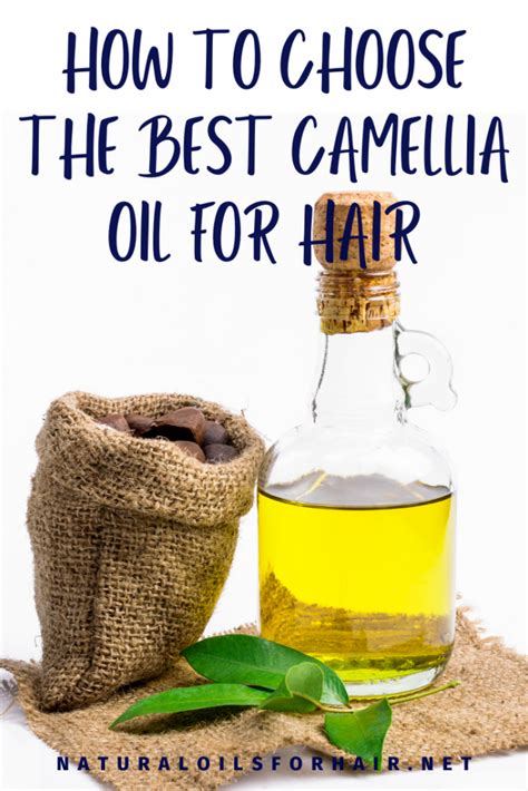 The 3 Different Types of Camellia Oil & Which is Best for the Hair | Natural Oils for Hair & Beauty