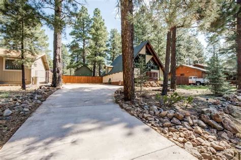 10 Cozy Pet-Friendly Cabin Rentals in Arizona - Territory Supply