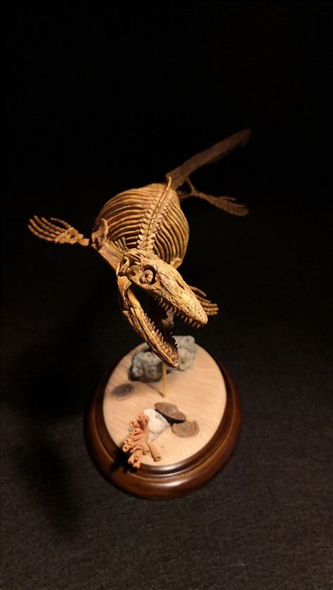 1/25 Mosasaurus Skeleton Model – Lana Time Shop