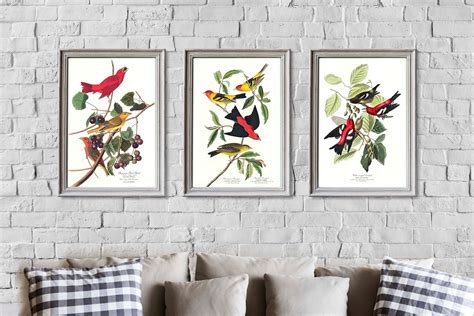 Birds print set Audubon bird prints Bird wall art Red birds | Etsy