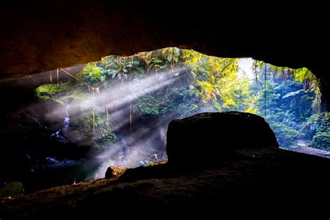 Bat Cave | Smithsonian Photo Contest | Smithsonian Magazine