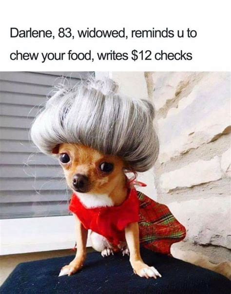 15 Funny Doggo Memes - Gallery | eBaum's World