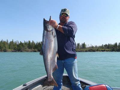 Kenai River Fishing Guides, Guided Salmon and Trout Fishing Kenai River