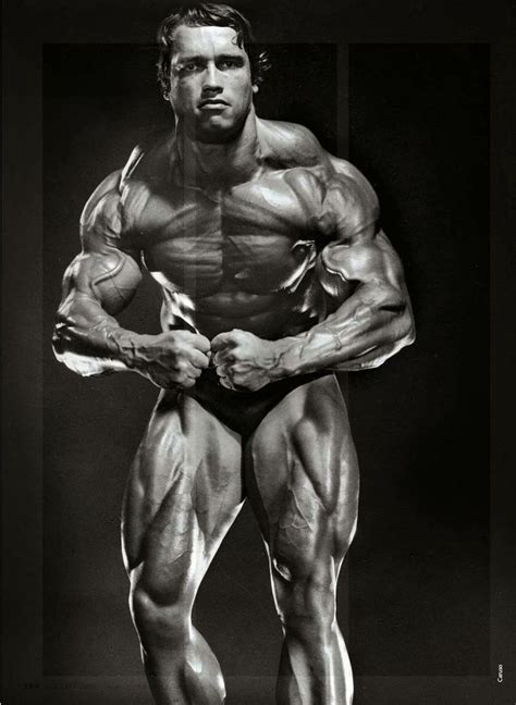 Arnold Schwarzenegger | Arnold schwarzenegger bodybuilding, Arnold bodybuilding, Schwarzenegger ...