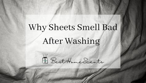 Why my sheets don t smell fresh after washing what to do – Artofit