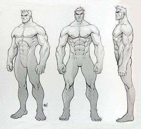 Male body drawing, Anatomy sketches, Human anatomy drawing