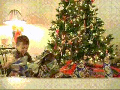 Christmas Tree Fails | Fun