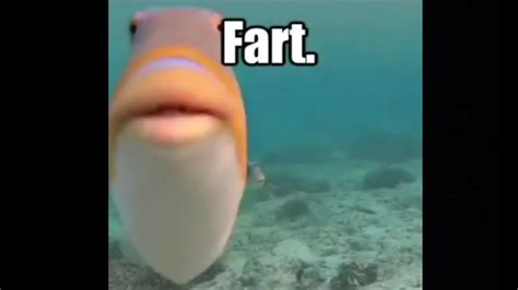 Do You Fart Fish Meme