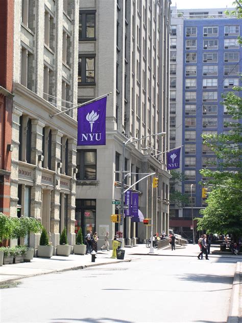 New York University | Catalogue of Online University