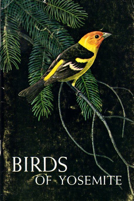 Birds of Yosemite National Park (1954, 1963) by Cyril A. Stebbins and ...