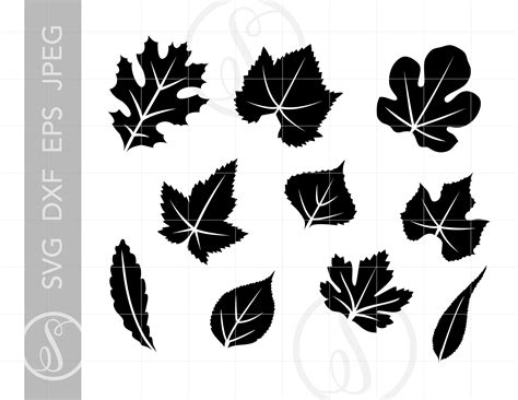 Fall Leaf Outline SVG