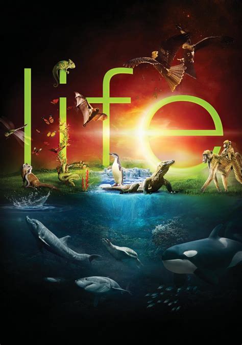 Life (TV Mini Series 2009) - IMDb