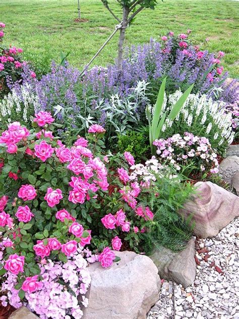 Landscaping With Roses Ideas | Landscaping