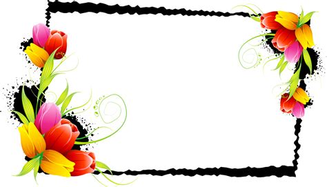 And Decorative Flower Floral Design Frames Borders Transparent HQ PNG Download | FreePNGImg