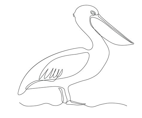 abstract Pelican Continuous On Line Drawing 22151784 Vector Art at Vecteezy