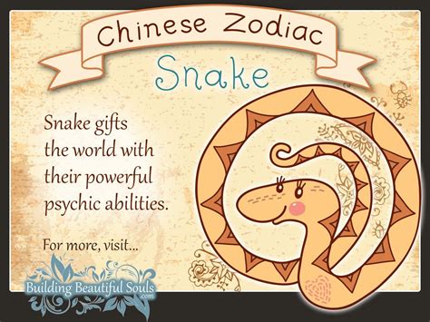 Chinese Zodiac Snake Child Personality & Traits | Chinese Zodiac for Kids