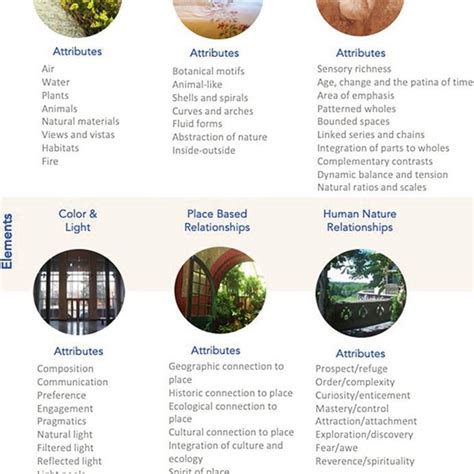 (PDF) Exploring Regenerative Co-benefits of Biophilic Design for People and the Environment