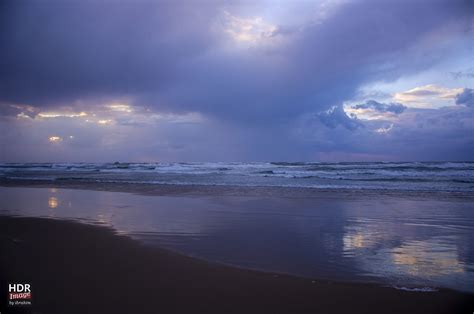 Gaza beach | Beach, Outdoor, Purity