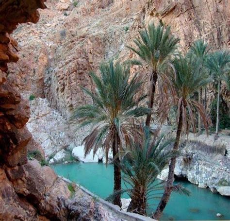 Biskra Les gorges de M'chouneche. ALGERIE | Paysage algerie, Les plus beaux paysages, Beau paysage