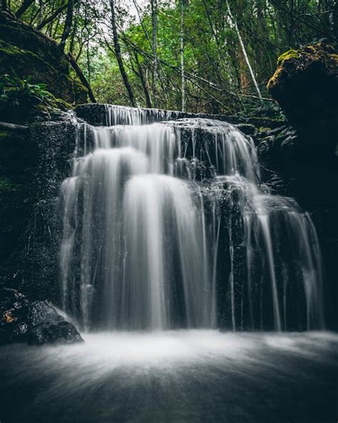 Scenic View of Waterfall in Forest · Free Stock Photo