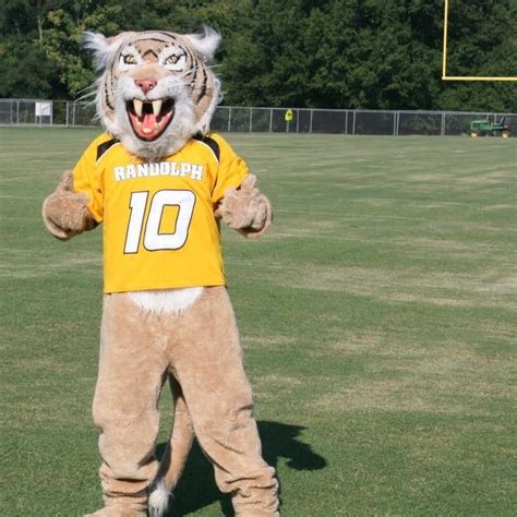 Wildcat | Mascot Hall of Fame