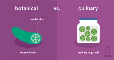 Is a Cucumber a Fruit or a Vegetable and Why? | Eufic