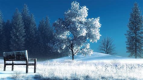 White Tree, tree, snow, bench, nature, winter, HD wallpaper | Peakpx