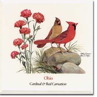 Free Ohio State Bird, Download Free Ohio State Bird png images, Free ClipArts on Clipart Library