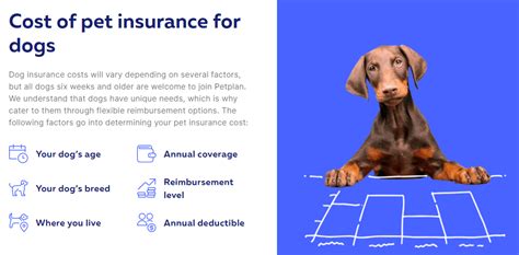 Dog Insurance Plans: Compare The Best Options