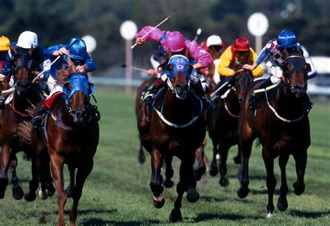 Camarero Racetrack in Puerto Rico will reopen after a $15 million renovation. - Qasiknow