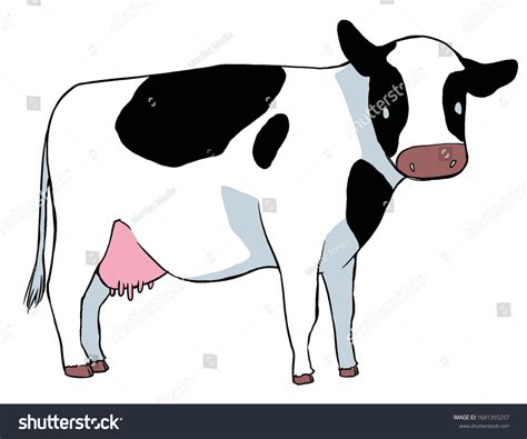 Adorable Cartoon Cow Animal Illustration Stock Illustration 1681355257 | Shutterstock