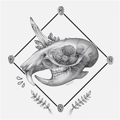 Rat Skull Drawing at PaintingValley.com | Explore collection of Rat Skull Drawing