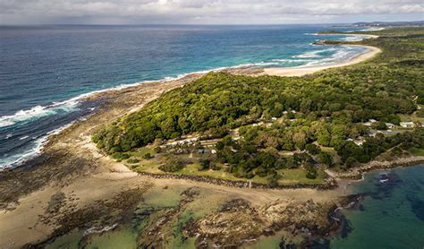 Bundjalung National Park | NSW National Parks