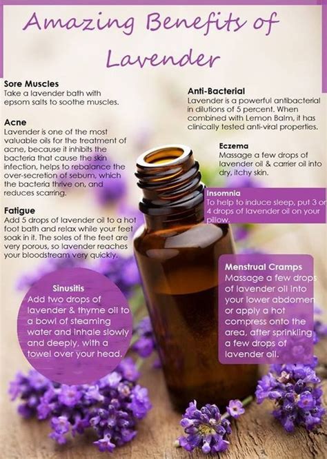 DIYideas Magazine: Health Benefits of Lavender