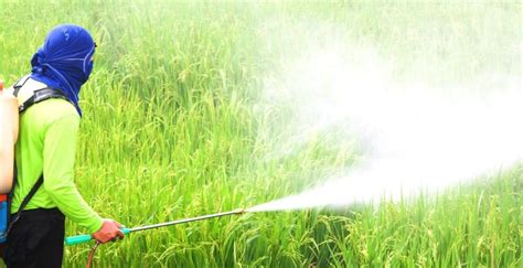 Insecticide Sprayer