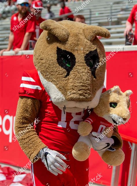 University Houston Mascot Shasta His Cub Editorial Stock Photo - Stock ...