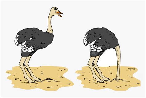 Ostrich Head In Sand Cartoon , Png Download - Ostrich With Head In The Sand Cartoon, Transparent ...