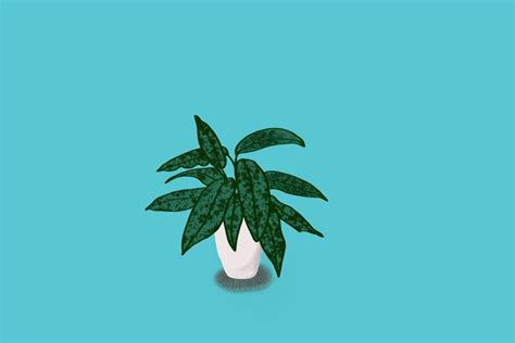 Ornamental Plant Graphic by Smile Design · Creative Fabrica