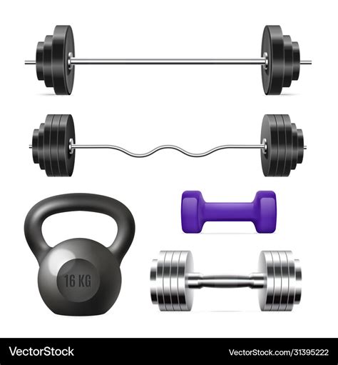 Realistic gym weights set - weight ligting Vector Image