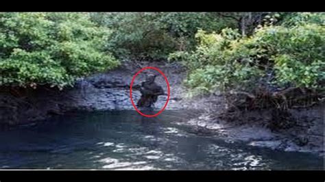 Dogman Stalks Two Louisiana Fisherman | Dogman encounters, Strange beasts, Paranormal stories